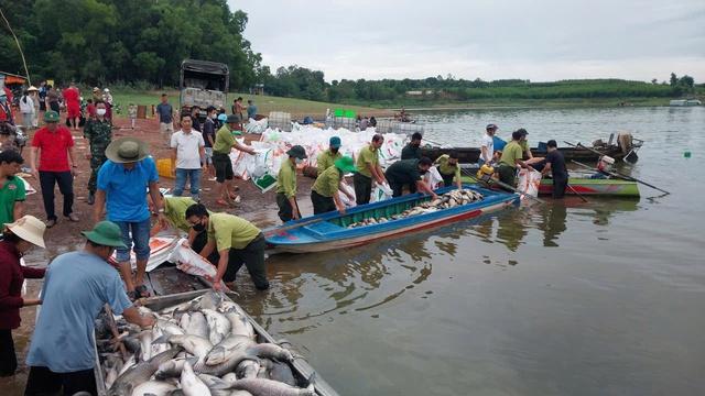 Cá bè trên hồ Trị An bất ngờ chết hàng loạt - Ảnh 1.