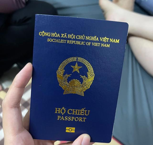 Bóc trần đường dây đẻ thuê xuyên biên giới: Sang Thái Lan cấy phôi theo diện... du lịch- Ảnh 1.