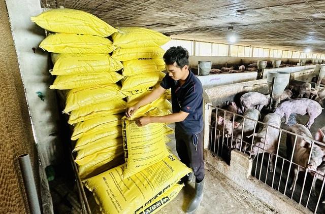 Thịt nhập khẩu tăng vọt, giá heo hơi giảm sâu- Ảnh 1.