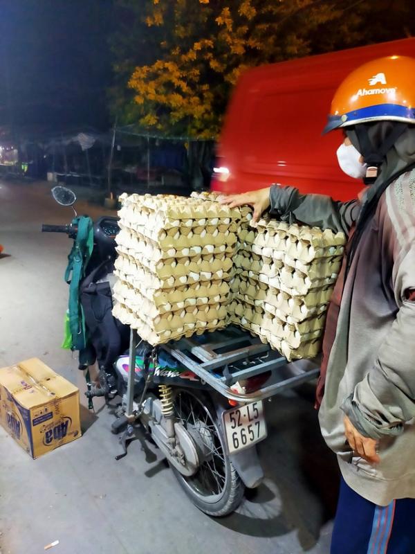 Giá trứng xuống đáy, người chăn nuôi điêu đứng- Ảnh 2. Giá trứng xuống đáy, người chăn nuôi điêu đứng- Ảnh 2.