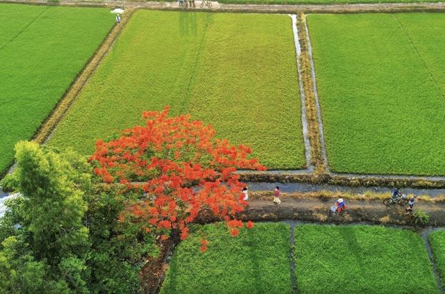 Lịch âm hôm nay: Người Việt đón tháng 6 dương lịch xuất hiện ngày đặc biệt - Ảnh 2.