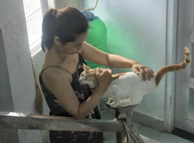 Lịch âm hôm nay ngày Đường Phong: Ngày cuối cùng người Việt đón tiết Tiểu mãn - Ảnh 2.