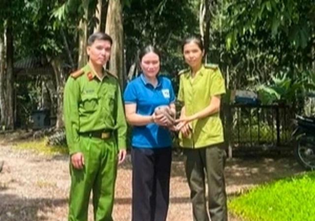Tê tê Java bò vào sân, người dân giao nộp cho công an- Ảnh 1.