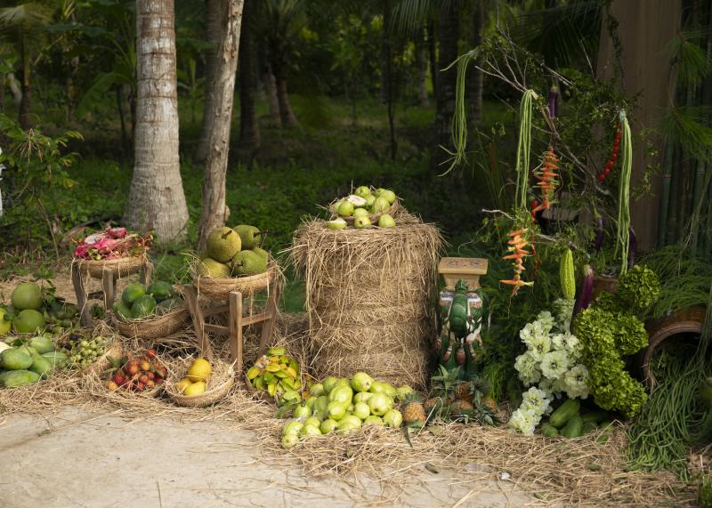 Đám hỏi trang trí 200 kg rau củ: Tự hào nghề của mẹ nuôi con khôn lớn - Ảnh 8.