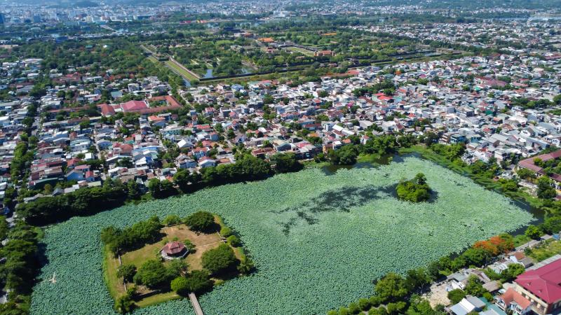 Vào hồ ngự uyển Kinh thành Huế xem thợ thức sớm 'gửi trà' vào búp sen tiến vua- Ảnh 1.