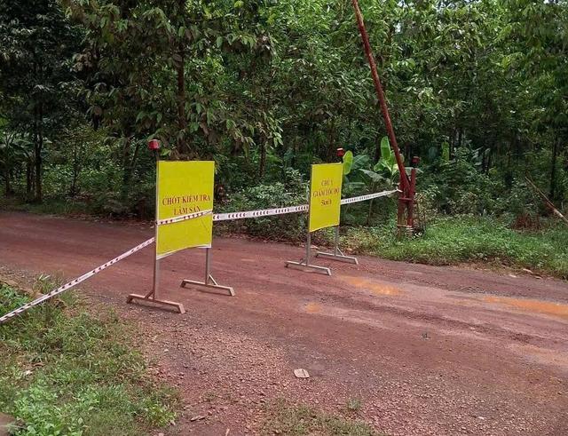 Đồng Nai: Cầu tạm Mã Đà đã thông xe- Ảnh 4.