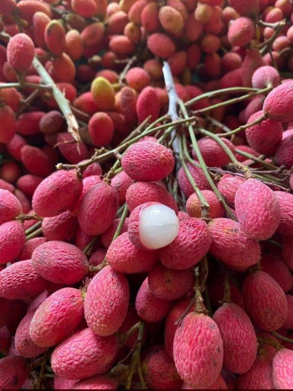 Bà chủ quán hủ tiếu ở TP.HCM bán trái cây độc lạ, đưa khách về tuổi thơ - Ảnh 4.