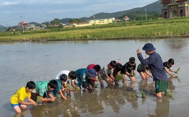Cần thêm những lớp học đặc biệt cho 'khối nghỉ hè'- Ảnh 1.