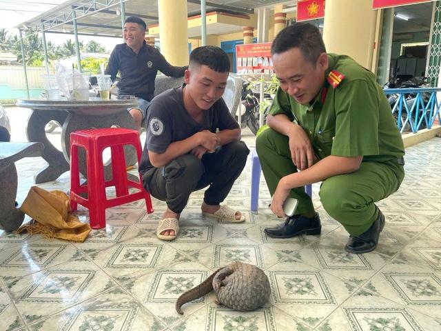 Gặp tê tê quý hiếm trên đường, 5 thanh niên Khánh Hòa giao nộp công an - Ảnh 2.